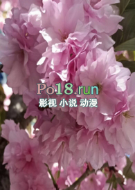 调教小逃妻漫画叫什么